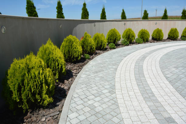 Best Residential Paver Driveway  in Renovo, PA